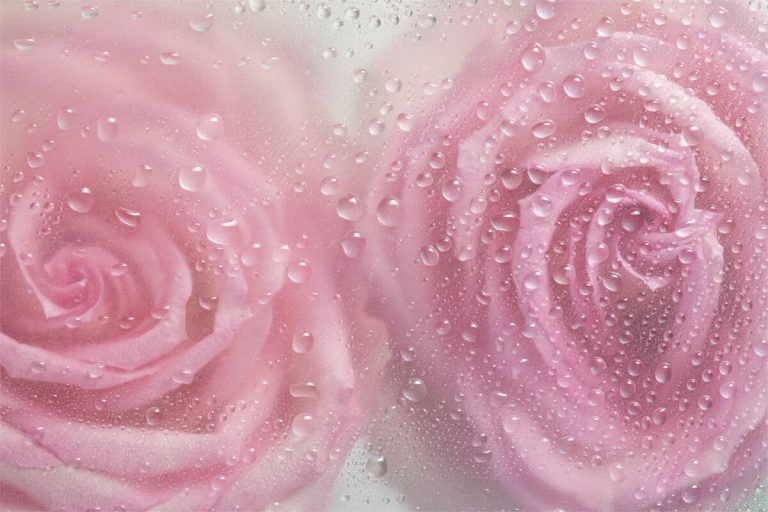 secchezza vaginale e acido ialuronico